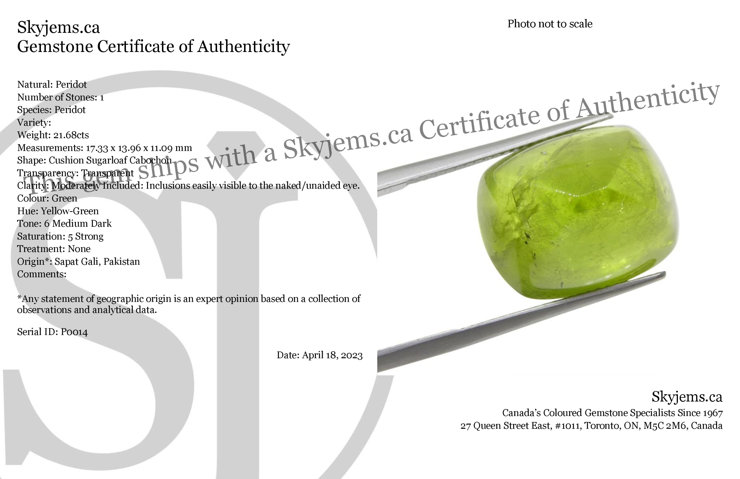 21.68ct Cushion Sugarloaf Cabochon Yellow-Green Peridot from Sapat Gali, Pakistan - Skyjems Wholesale Gemstones