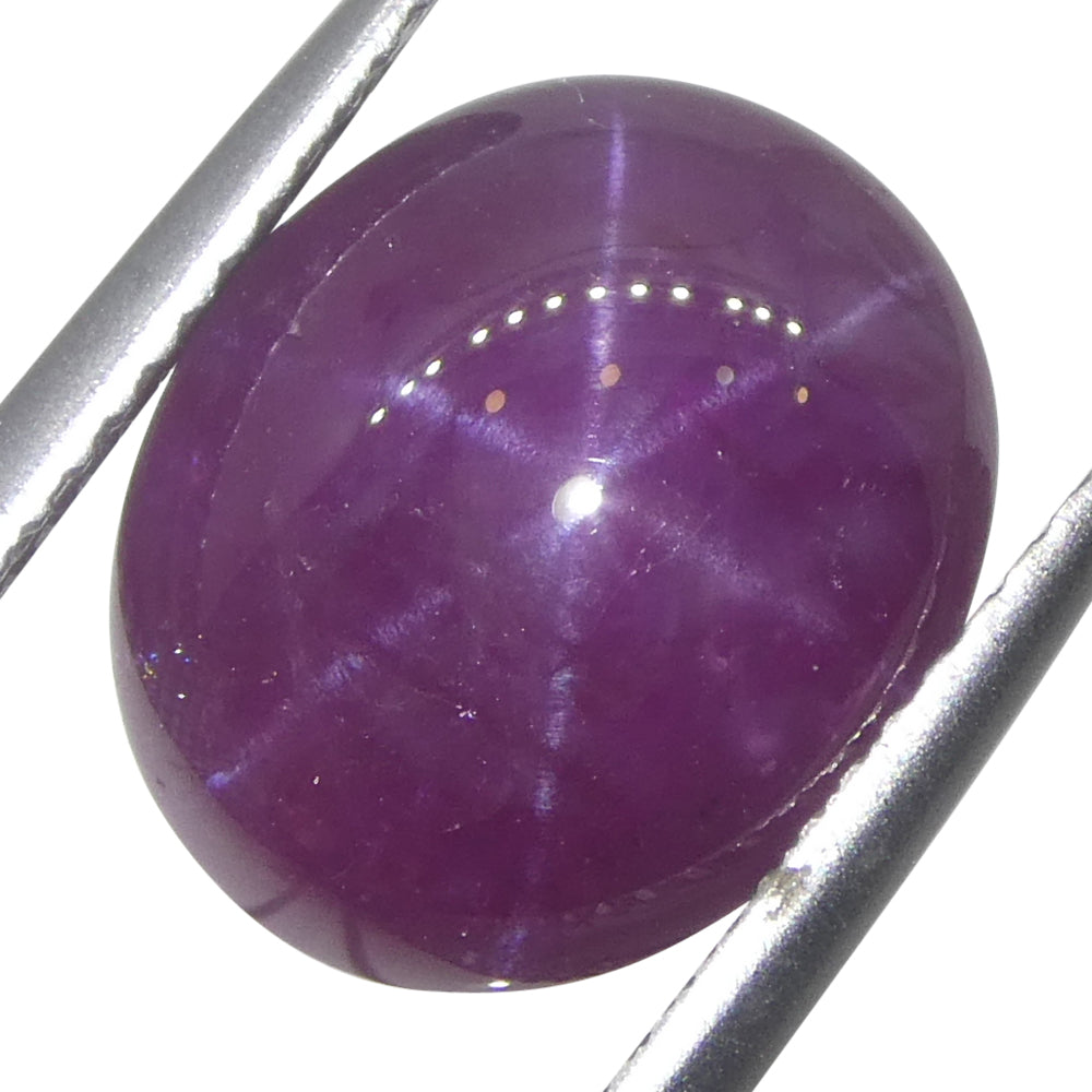 8.61ct Purplish Red Star Ruby from Vietnam - Unheated Oval Cabochon Gemstone by SkyJems Rare Collector's Specimen