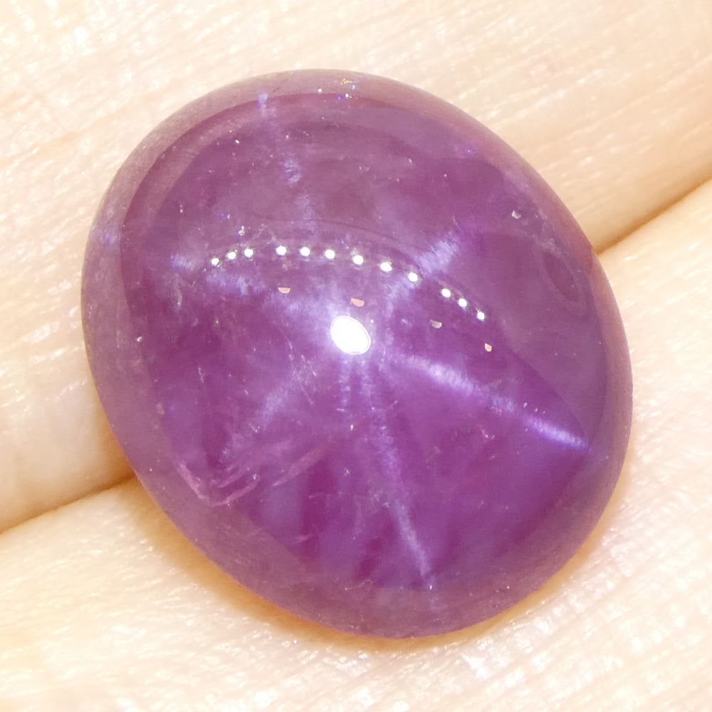 8.61ct Oval Cabochon Purplish Red Star Ruby from Vietnam Unheated - Skyjems Wholesale Gemstones