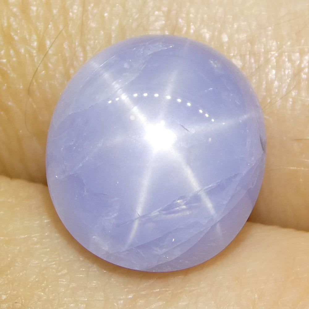 7.93ct Oval Cabochon Blue Star Sapphire from Sri Lanka Unheated - Skyjems Wholesale Gemstones