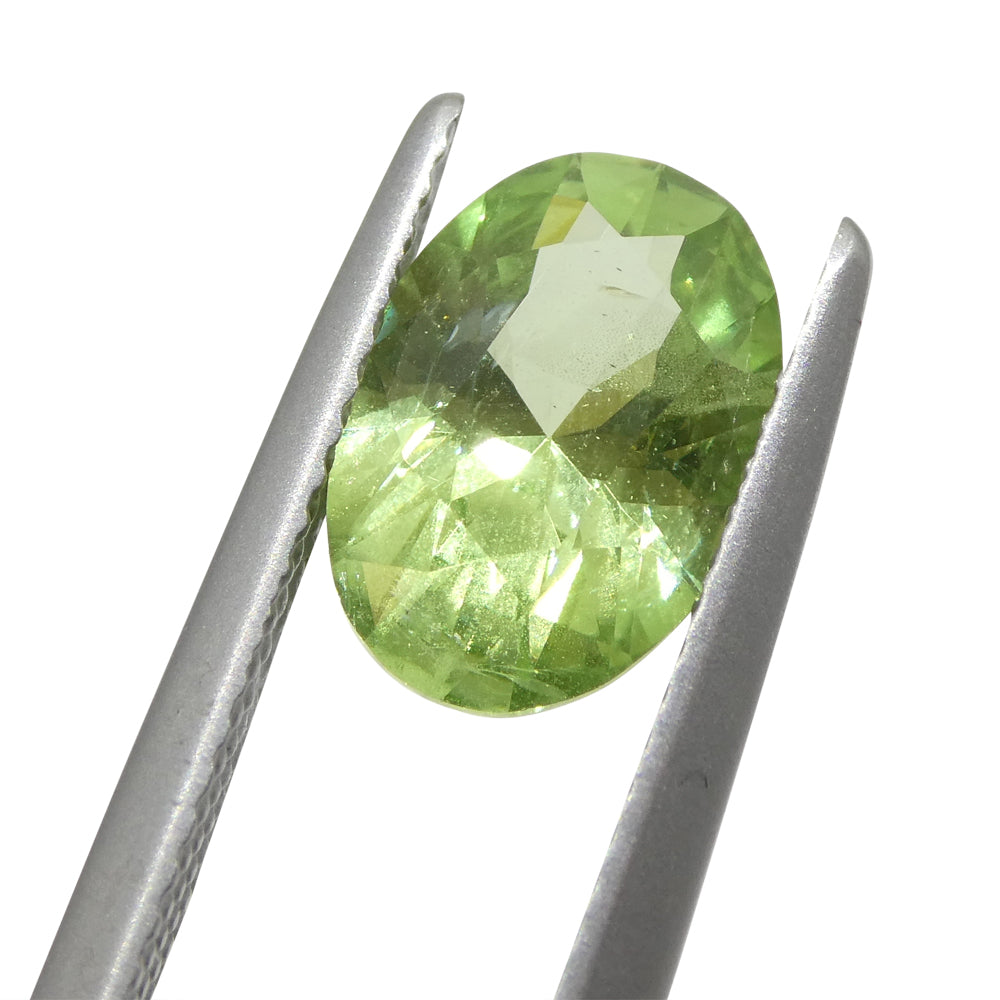 SkyJems 2.43ct Oval Mint Green Tsavorite Garnet from Tanzania, rare green gemstone in modified brilliant cut