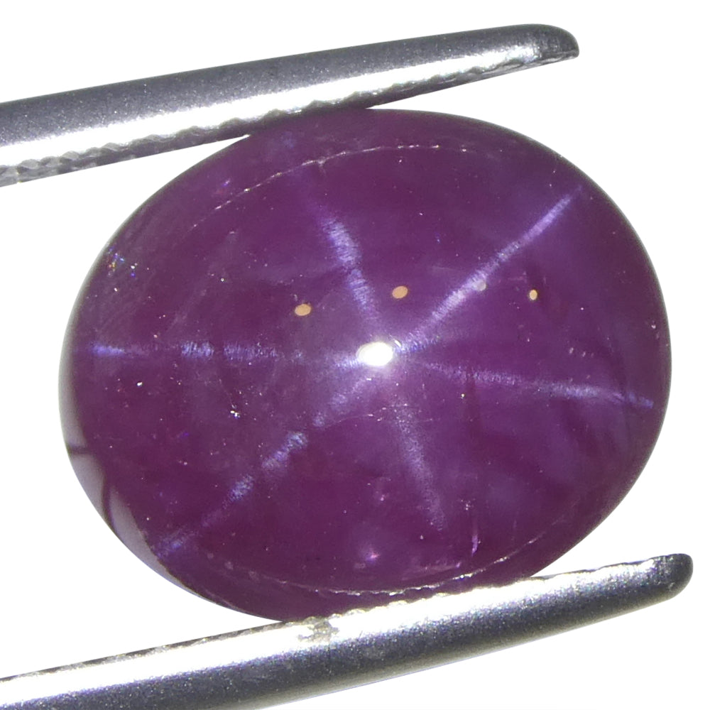 8.61ct Oval Cabochon Purplish Red Star Ruby from Vietnam Unheated - Skyjems Wholesale Gemstones