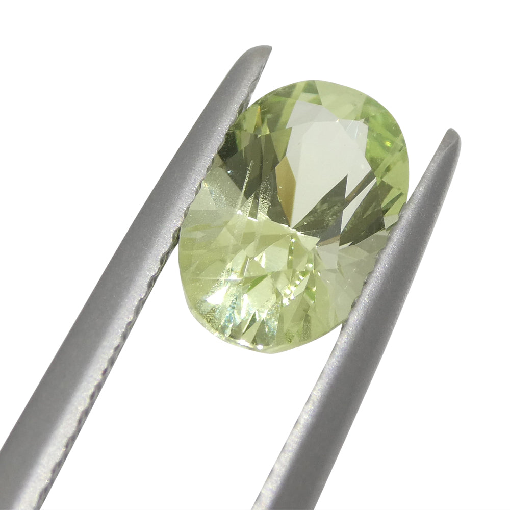 1.83ct Oval Mint Green Tsavorite Garnet from Tanzania, premium unheated gemstone by SkyJems Canadian gem specialists