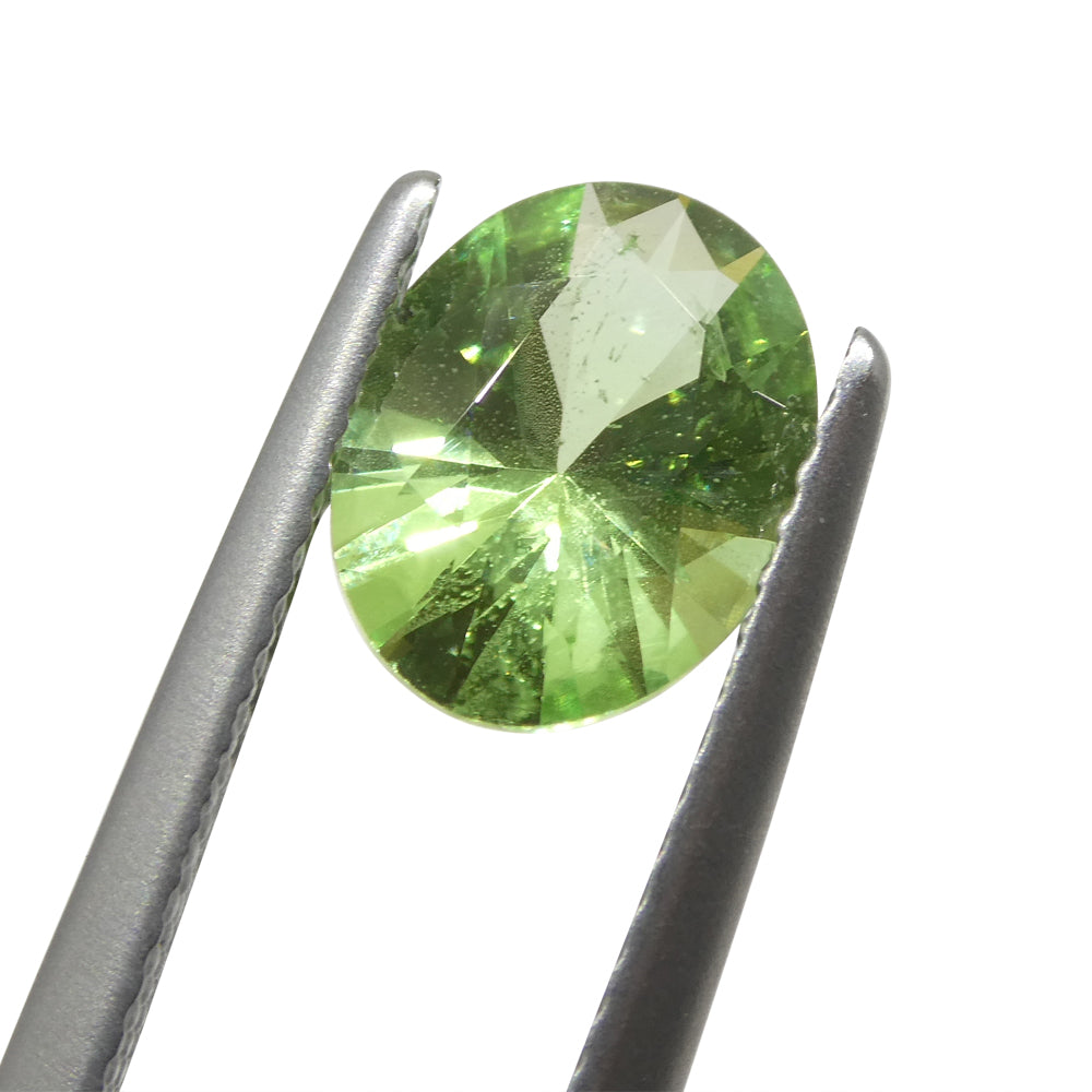 1.69ct Oval Mint Green Tsavorite Garnet from Tanzania, rare gemstone by SkyJems Canadian gem specialists