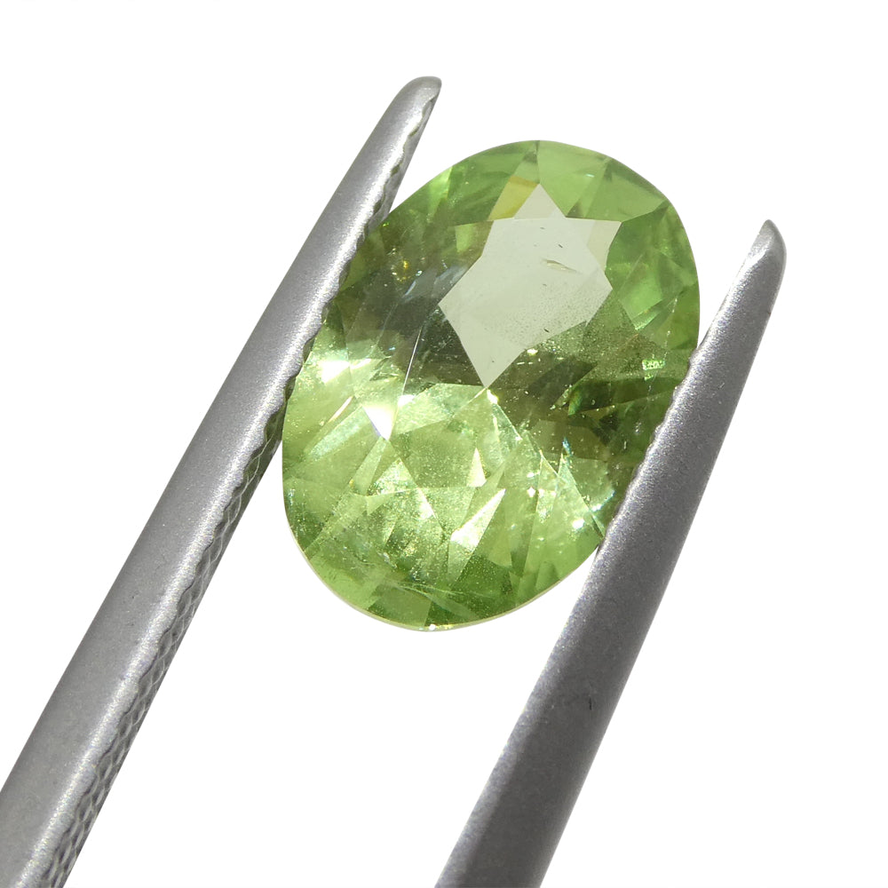 SkyJems 2.43ct Oval Mint Green Tsavorite Garnet from Tanzania, rare green gemstone in modified brilliant cut