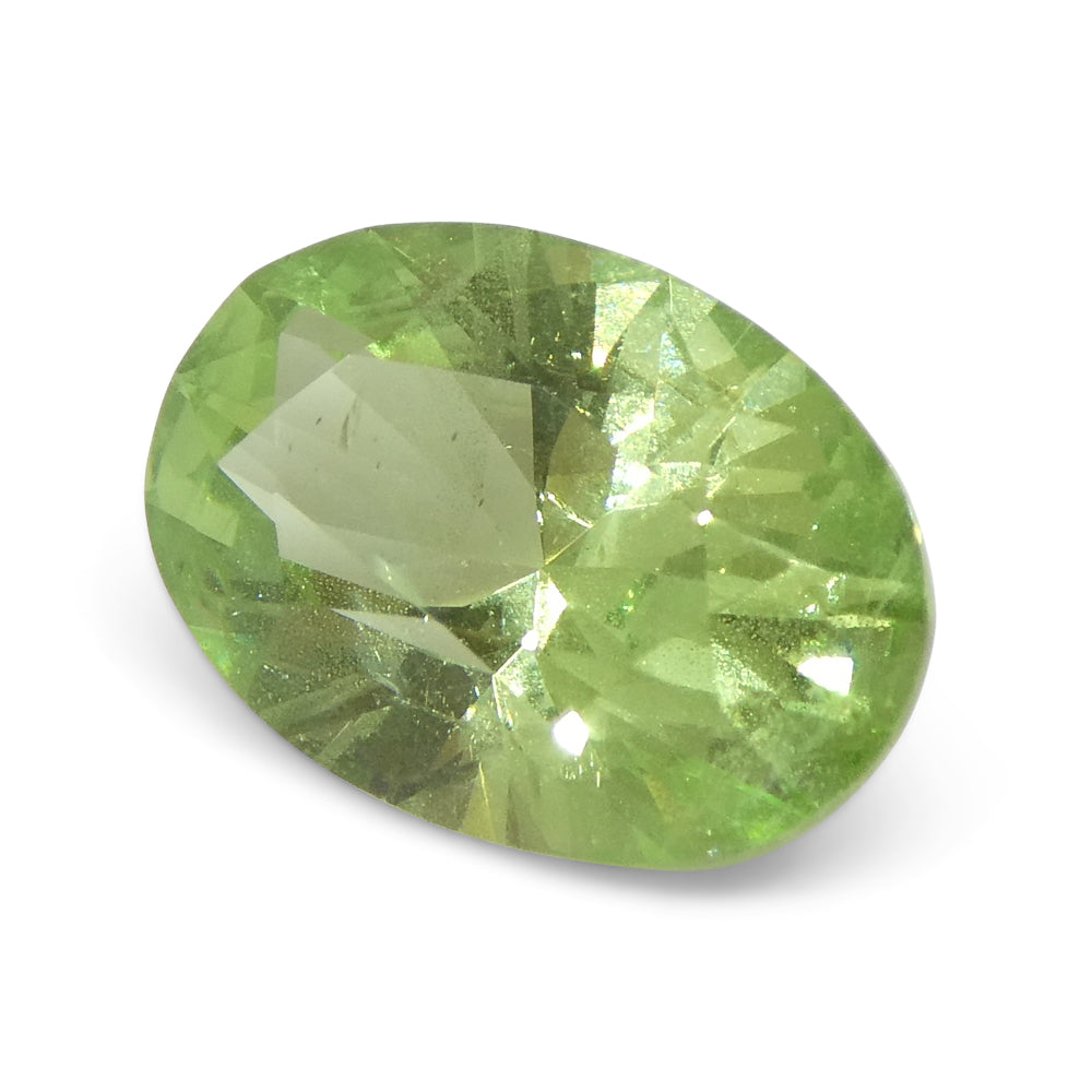SkyJems 2.43ct Oval Mint Green Tsavorite Garnet from Tanzania, rare green gemstone in modified brilliant cut